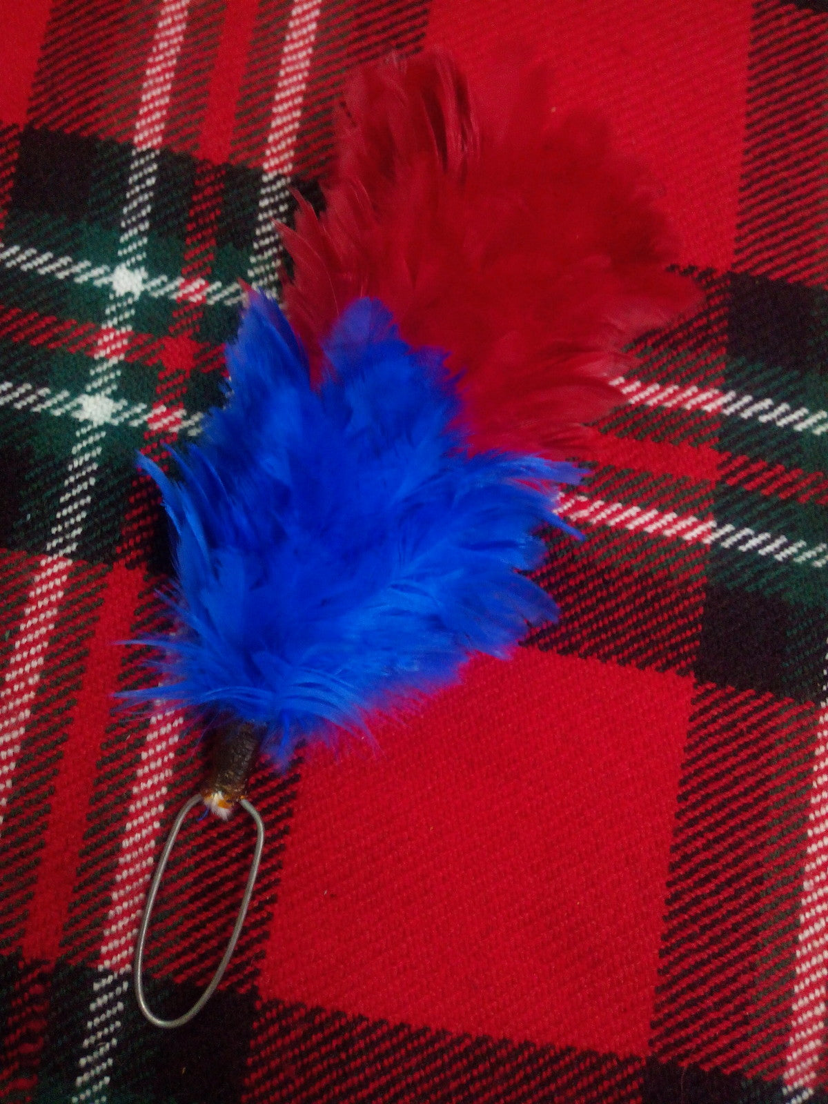 TC Feather Plume Hackle Glengarry Cap Red & Royal Blue/Balmoral plume hackle 6"