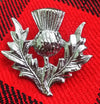 TC New Highland Thistle Cap Badge/Glengarry cap badge Pin Silver Chrome Finish