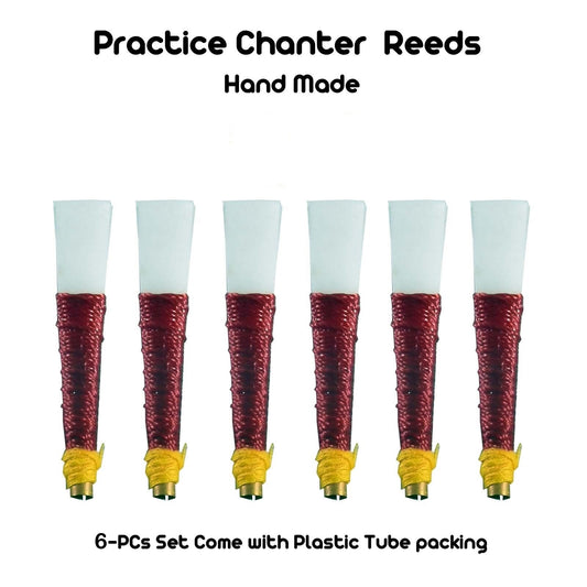 TC Scottish Highland BagPipe Practice Chanter, Carrying case & Reeds