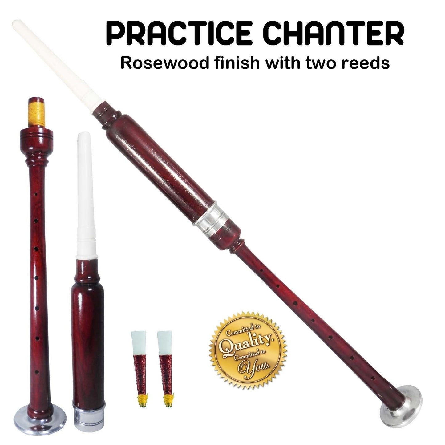 TC Scottish Highland BagPipe Practice Chanter, Carrying case & Reeds