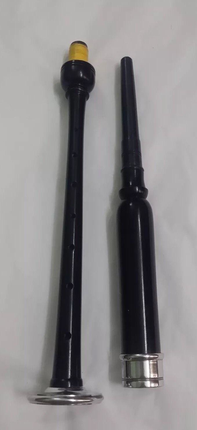 Scottish Highland Rosewood Silver Mounts Practice chanter+ carrying box+3 Reeds