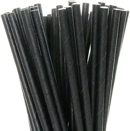 Disposable Paper Straws - Bio-Degradable - Eco-Friendly - 8" (20cm) - 250/Box