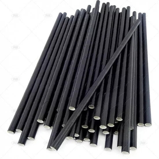 Disposable Paper Straws - Bio-Degradable - Eco-Friendly - 8" (20cm) - 250/Box