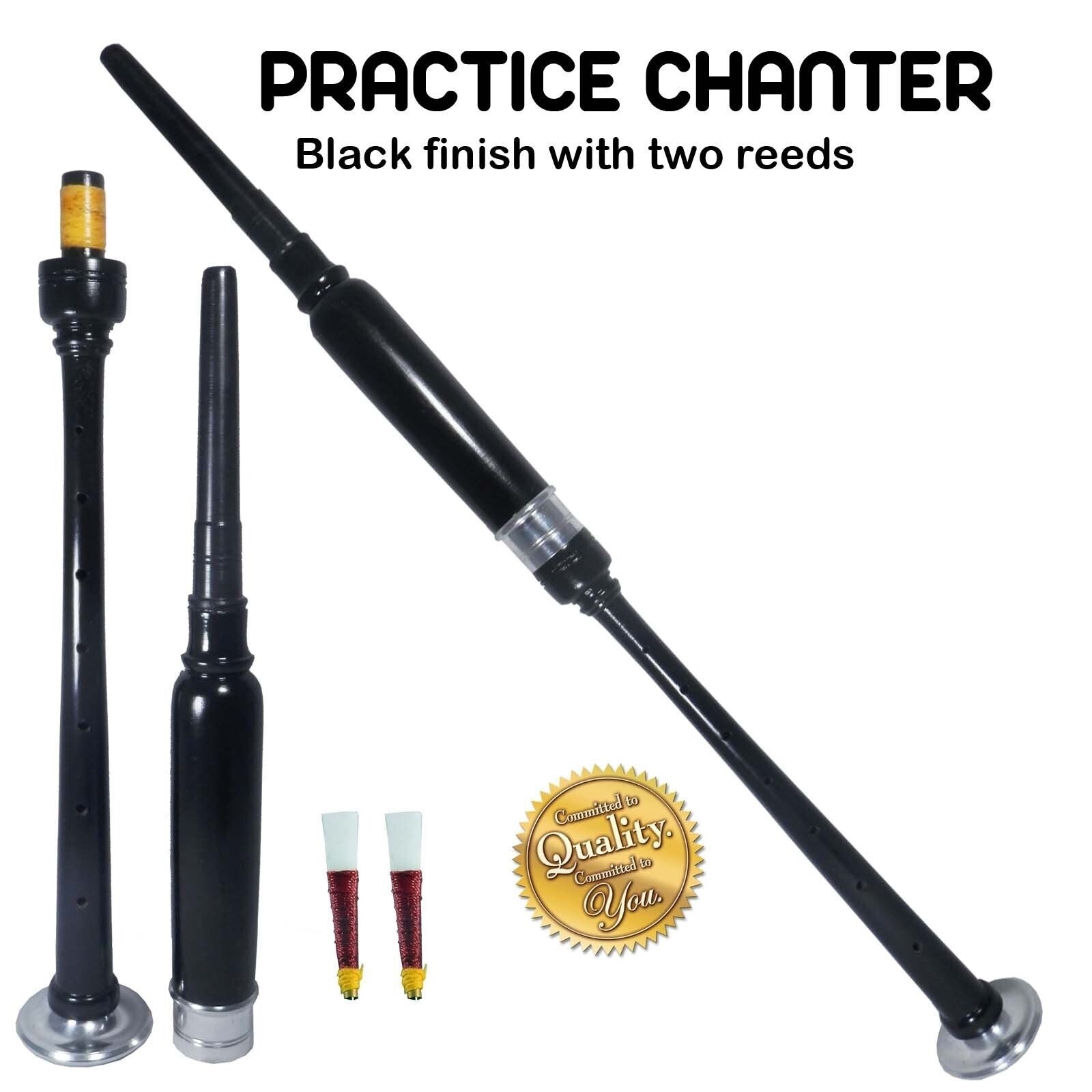 TC Scottish Highland BagPipe Practice Chanter, Carrying case & Reeds
